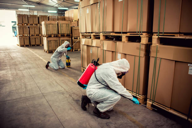 Best Pest Control for Businesses  in Fkville, AL