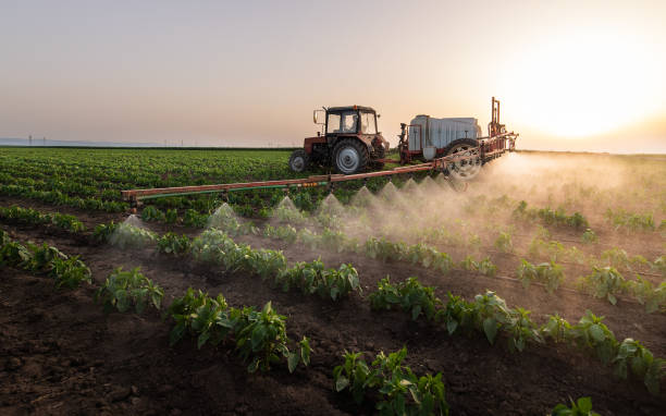 Best Mosquito Control Services  in Fkville, AL
