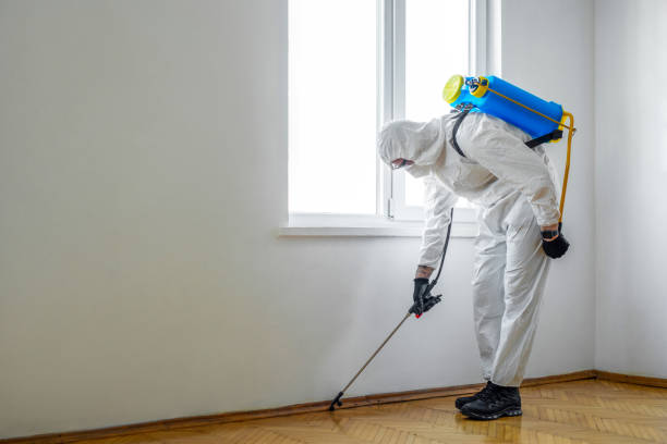 Professional Pest Control in Falkville, AL
