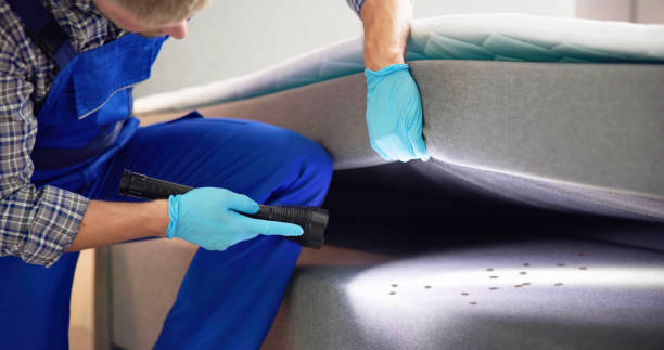 Best Bed Bug Extermination  in Fkville, AL