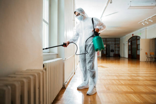 Best Pest Removal Services  in Fkville, AL