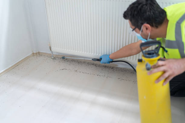 Best Commercial Pest Control Services  in Fkville, AL