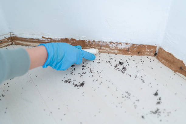 Wildlife Control Services in Falkville, AL