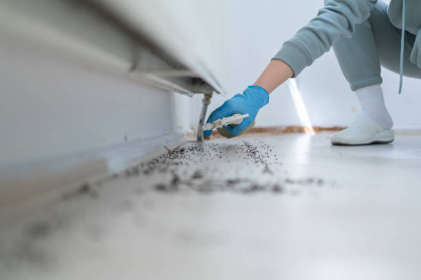 Pest Control Cost in Falkville, AL